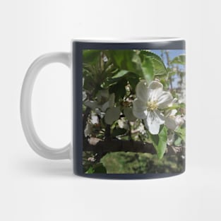 Bee on a flower Mug